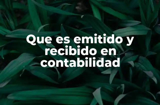 Que es Emitido y Recibido en Contabilidad