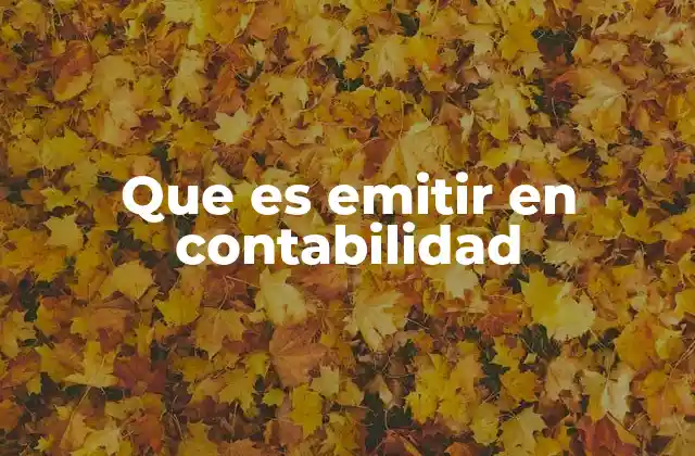 Que es Emitir en Contabilidad