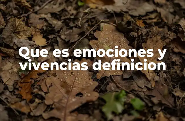 Que es Emociones y Vivencias Definicion