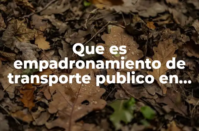 Que es Empadronamiento de Transporte Publico en Xalapa Ver