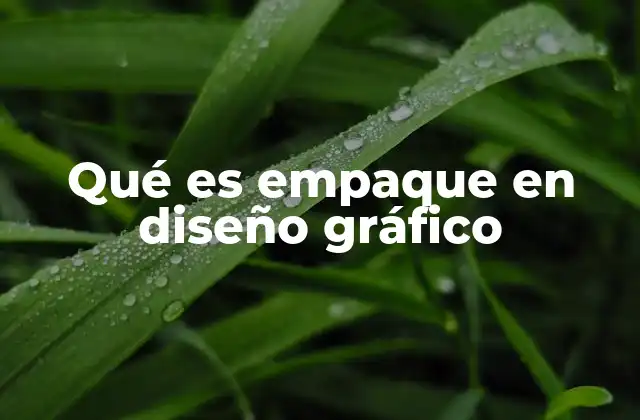 Qué es Empaque en Diseño Gráfico