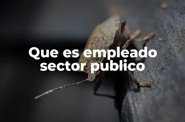 Que es Empleado Sector Publico