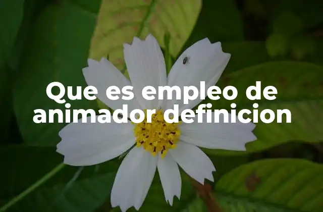Que es Empleo de Animador Definicion