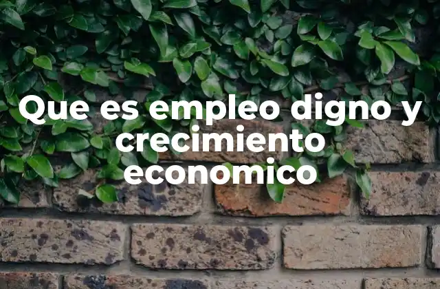 Que es Empleo Digno y Crecimiento Economico