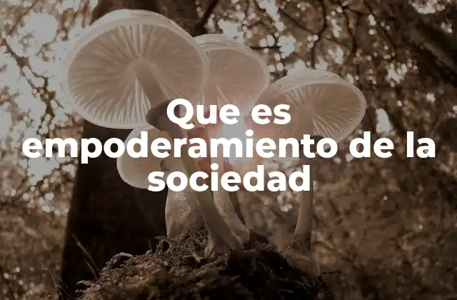 La importancia del fortalecimiento ciudadano en la democracia