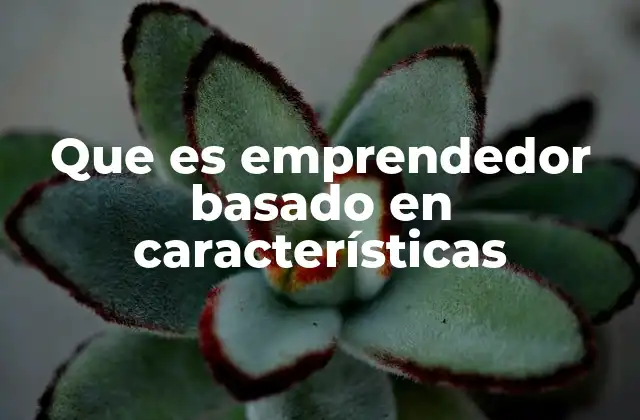 Que es Emprendedor Basado en Características
