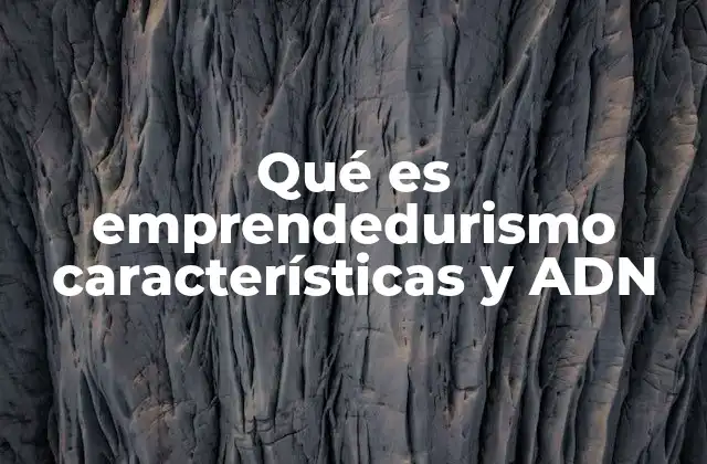 Qué es Emprendedurismo Características y Adn