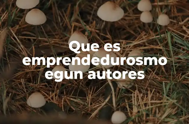 Que es Emprendedurosmo Egun Autores