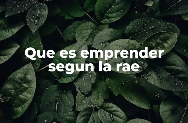 Que es Emprender Segun la Rae