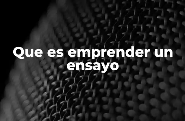 Que es Emprender un Ensayo