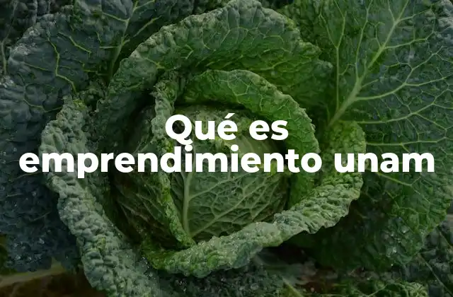 Qué es Emprendimiento Unam