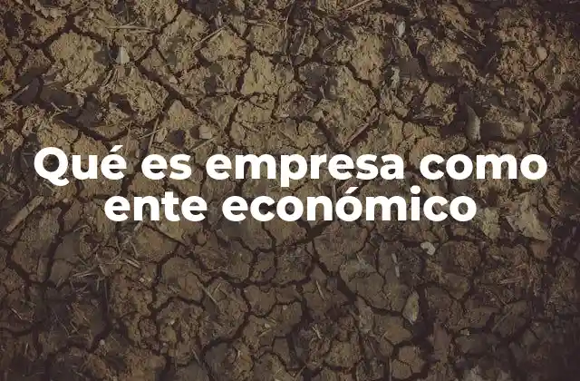 Qué es Empresa como Ente Económico