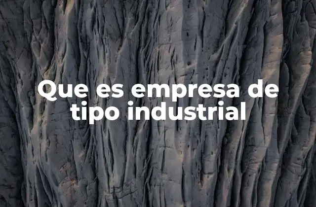 Que es Empresa de Tipo Industrial