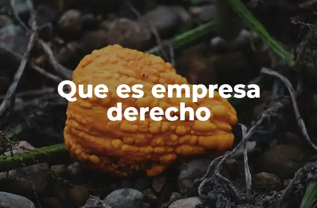 Que es Empresa Derecho