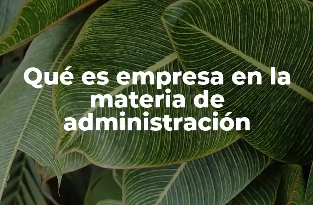 El rol de la empresa en el desarrollo económico