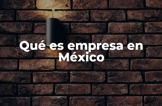 Qué es Empresa en México