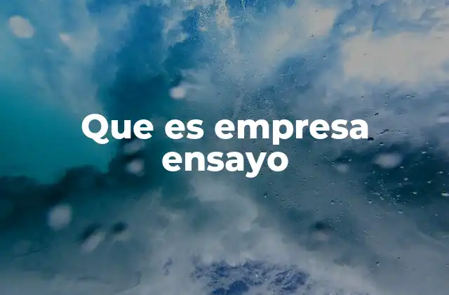 Que es Empresa Ensayo