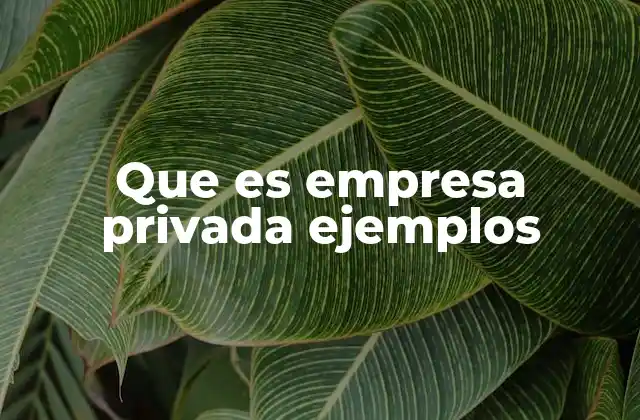Que es Empresa Privada Ejemplos