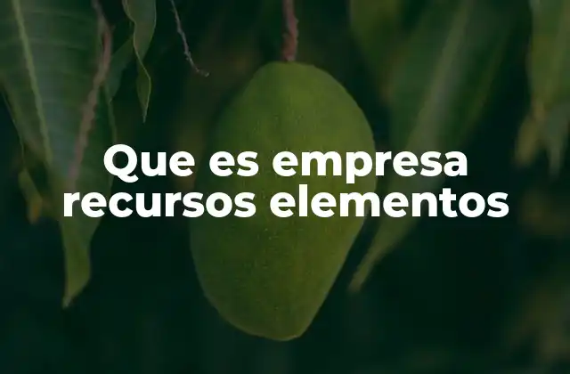 Que es Empresa Recursos Elementos