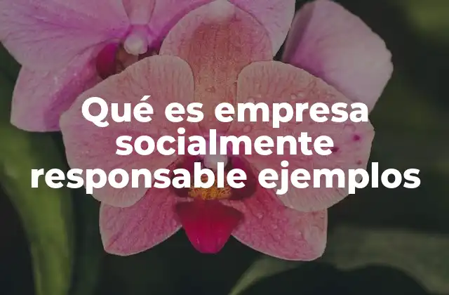 La importancia de la responsabilidad social en el entorno empresarial