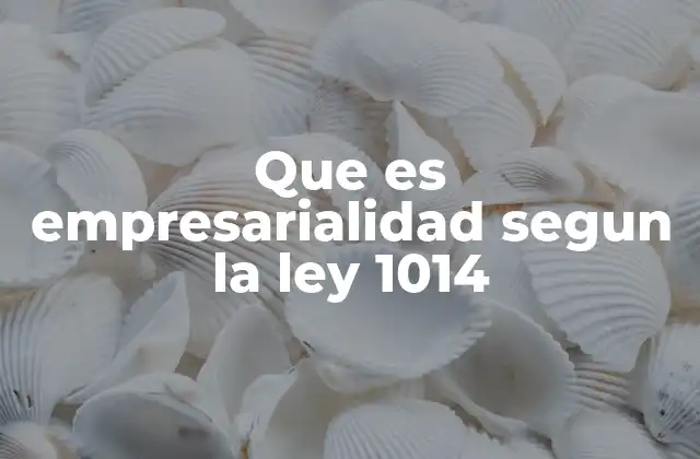 Que es Empresarialidad Segun la Ley 1014