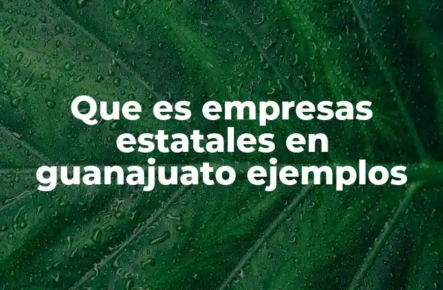 Que es Empresas Estatales en Guanajuato Ejemplos