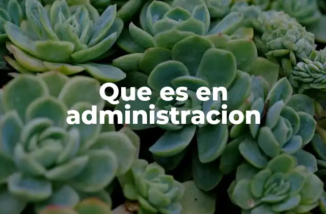 Que es en Administracion