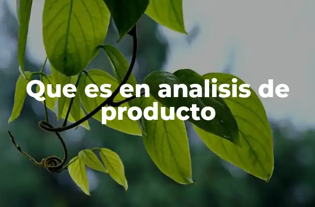 Que es en Analisis de Producto