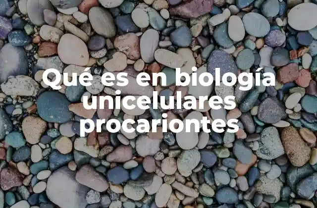 Qué es en Biología Unicelulares Procariontes 2 Características estructurales de los organismos unicelulares procariontes