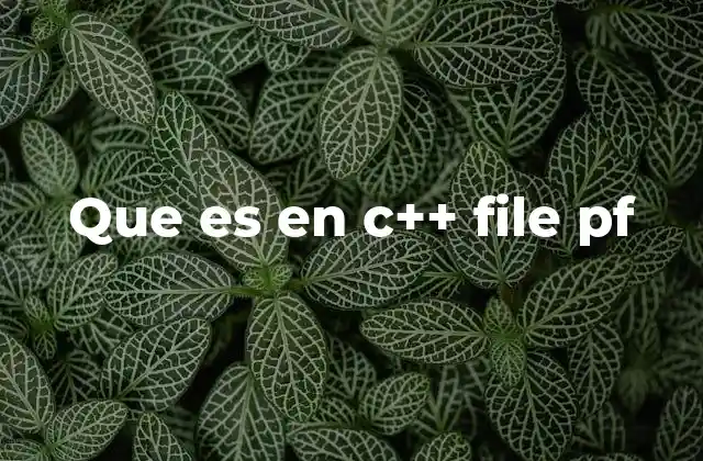 Que es en C++ File Pf