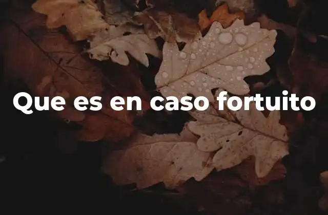 Que es en Caso Fortuito