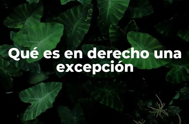 Qué es en Derecho una Excepción