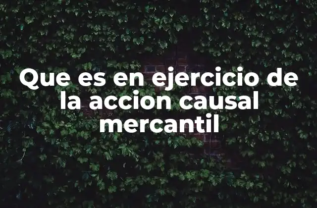 Que es en Ejercicio de la Accion Causal Mercantil