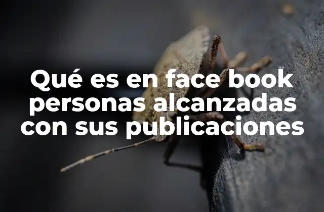 Cómo se calcula el alcance de una publicación en Facebook