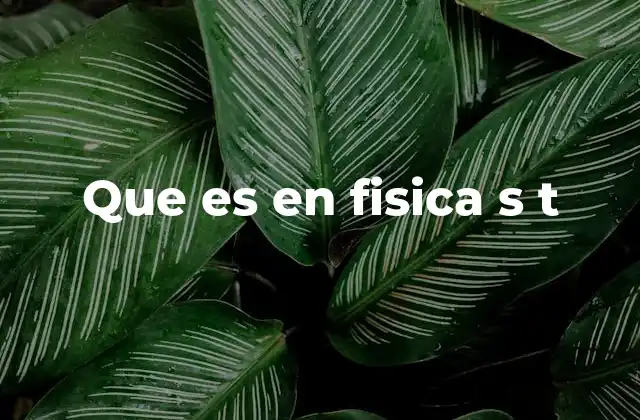 Que es en Fisica S T