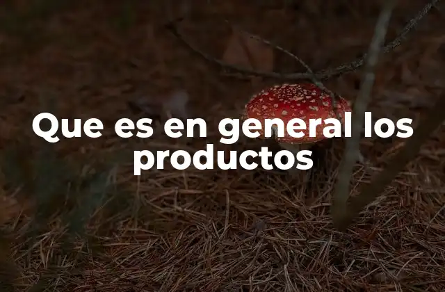 Que es en General los Productos
