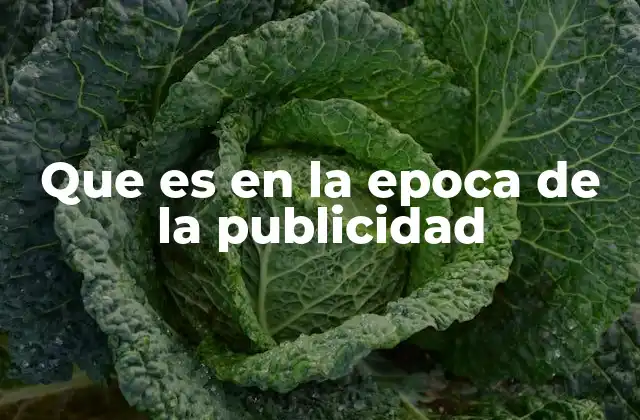Que es en la Epoca de la Publicidad