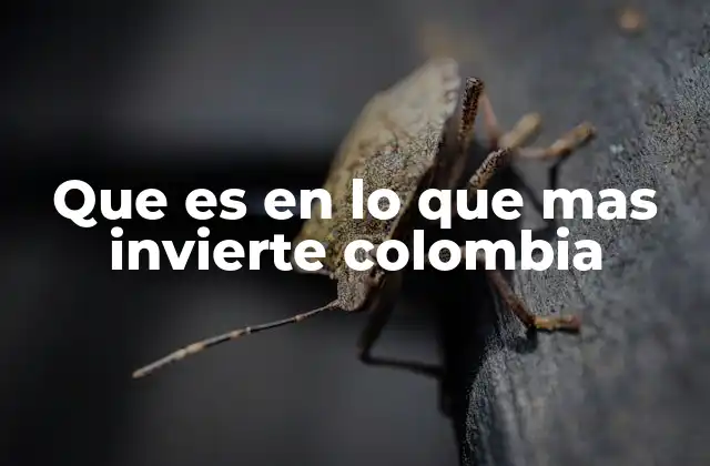 Que es en Lo que mas Invierte Colombia