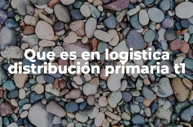 Que es en Logistica Distribución Primaria T1
