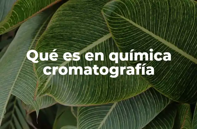 Qué es en Química Cromatografía