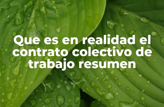 Que es en Realidad el Contrato Colectivo de Trabajo Resumen