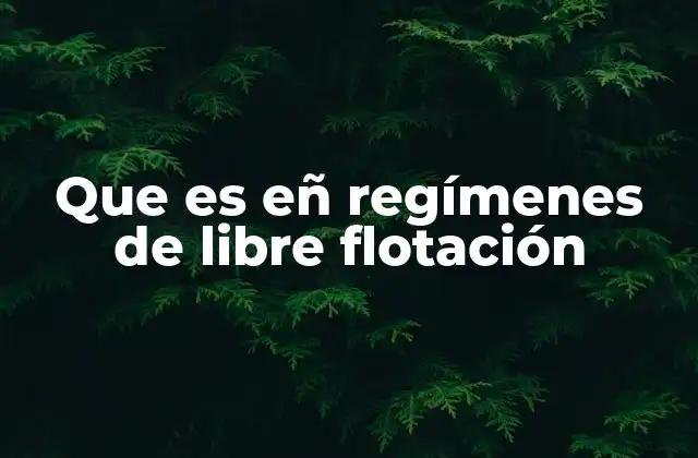 Que es Eñ Regímenes de Libre Flotación
