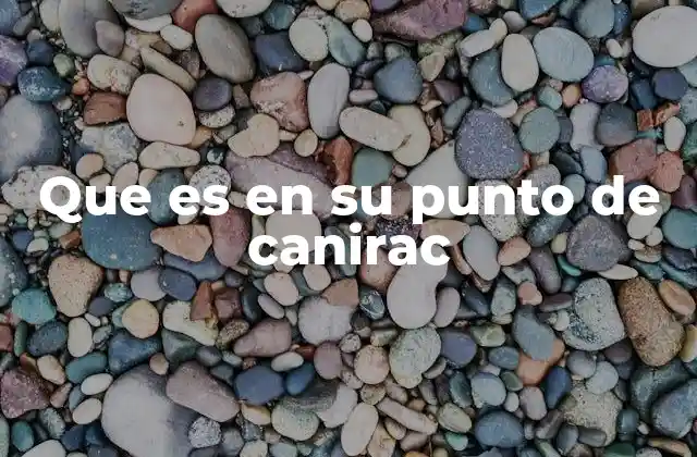 Que es en Su Punto de Canirac