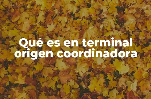 Qué es en Terminal Origen Coordinadora