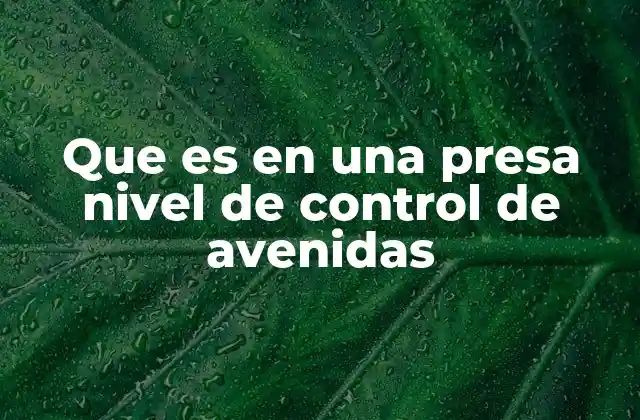 Que es en una Presa Nivel de Control de Avenidas