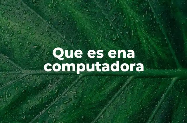 Que es Ena Computadora