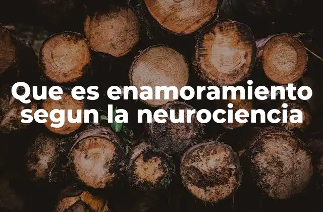 Que es Enamoramiento Segun la Neurociencia