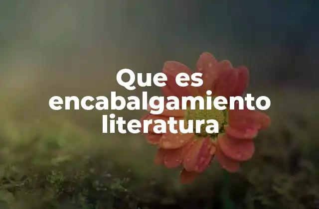 Que es Encabalgamiento Literatura