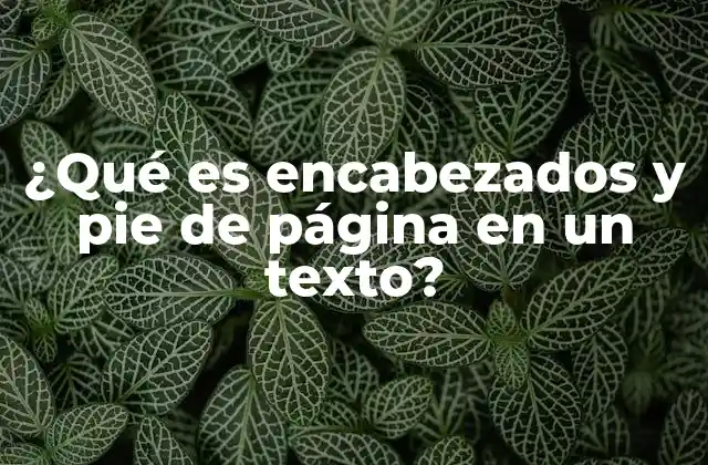 ¿qué es Encabezados y Pie de Página en un Texto?