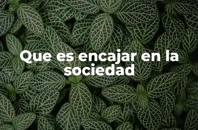 Que es Encajar en la Sociedad